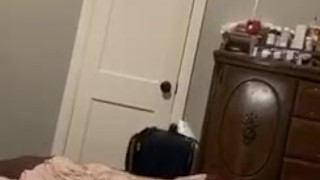 Young Bull Stroking With Verbal Explosive Nut At End 