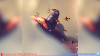 Splash & Bash *Preview*