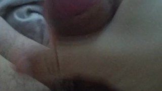 Jalandomela por la mañana