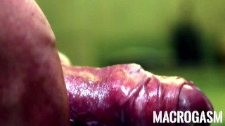 MACROGASM - Cumpilation #1 | Uncut | Close-Up | Big Load | Lots of Cum |