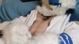 Kobaruto, Sergal horny and paws off