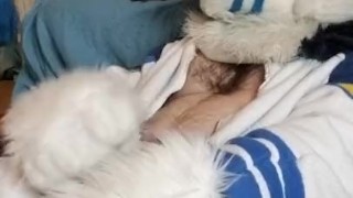 Kobaruto, Sergal horny and paws off