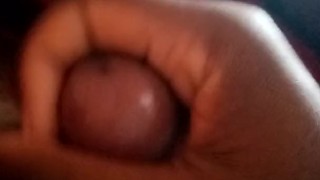 Morning Wood