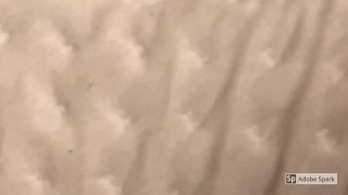 This weeks farts