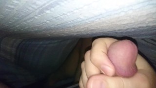 Morning Wood