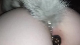 Fox Tailplug wiggles