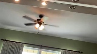 Me masturbating with dildo and new socks