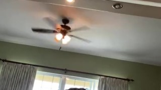 Me masturbating with dildo and new socks