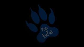 quick outdoor paw-off in german army tracksuit