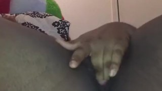 I’m So Horny, I Squirted Multiple Times!