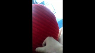 Masturbate on a stallion
