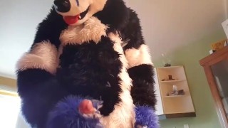 Johnny Huskey - Cum shot in the kitchen