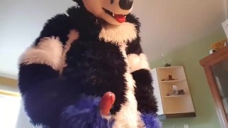 Johnny Huskey - Cum shot in the kitchen