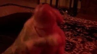 Big cock goth boy stroking and cumming 