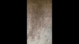 Watering the carpet a little more