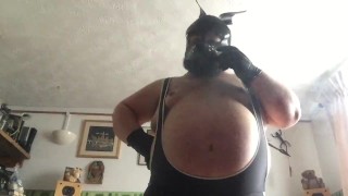 sumo dawg clip