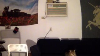 Amateur Punk Guy Strip Tease - A Clip for my Wife 