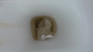 pee on the toilet