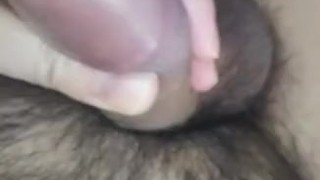 Penis