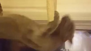 Cute young pussy first time