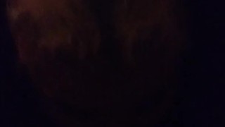 Swallow pov