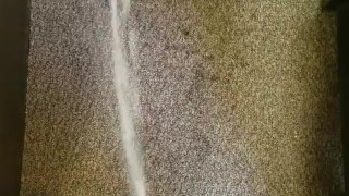 Carpet pissing