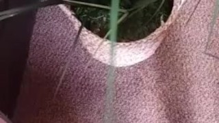 Plant piss