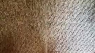 Erotic piss