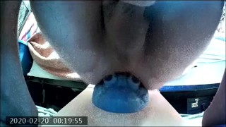 XL Ika from the front