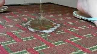 Florida trip carpet piss