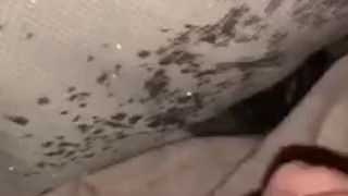 Quick Squirt Before Bed