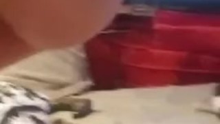 stroking my hard cock until i cum