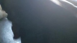 Bored and Horny