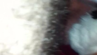 Santa suit blowjob