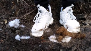 Teddy vs. Buffalo Sneaker