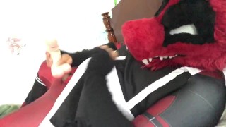 Deadpool Furry in maid outfit plays with a new toy