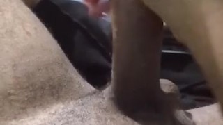 Shooting my load on me 