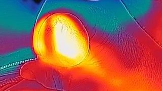 Flir thermal composite cum in infared hot masterbate 