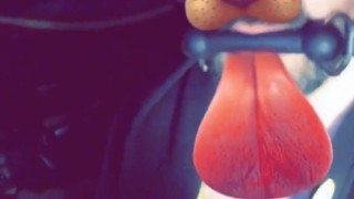 Sc puppy Kyle Butler begs for daddy