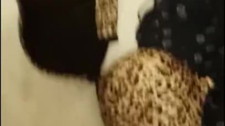 sneak in her room and cum on leopard bra