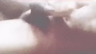 Sunny morning with my Bushy Dick Daddy