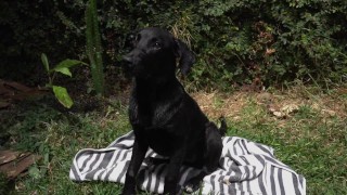 Naughty Bitch gets all wet and enjoy herself