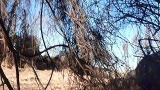 mofo2121 in the woods 2
