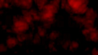 ANONYMOUS FUCK IN A DROPTOP CAR 