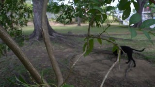 Bitch Loves To Get Naked At The Park And Enjoy Herself When Watched