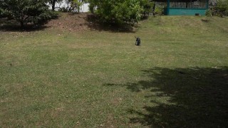 Bitch Loves To Get Naked At The Park And Enjoy Herself When Watched