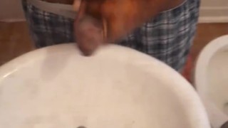 BBC morning nut 