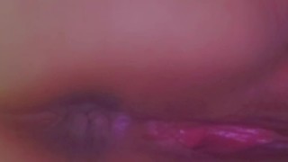 Kitten needs daddy to own her