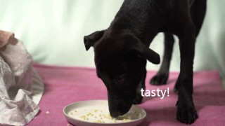 Italian Lesbian Filtered VIDEO of Bitch Swallowing IT ALL