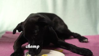 Italian Lesbian Filtered VIDEO of Bitch Swallowing IT ALL